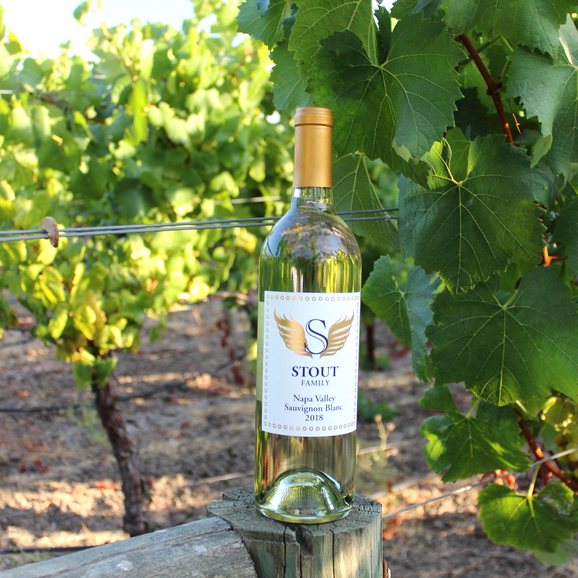 Hill Family Estate Releases Their 2021 Napa Valley Sauvignon Blanc! - Hill  Family Estate